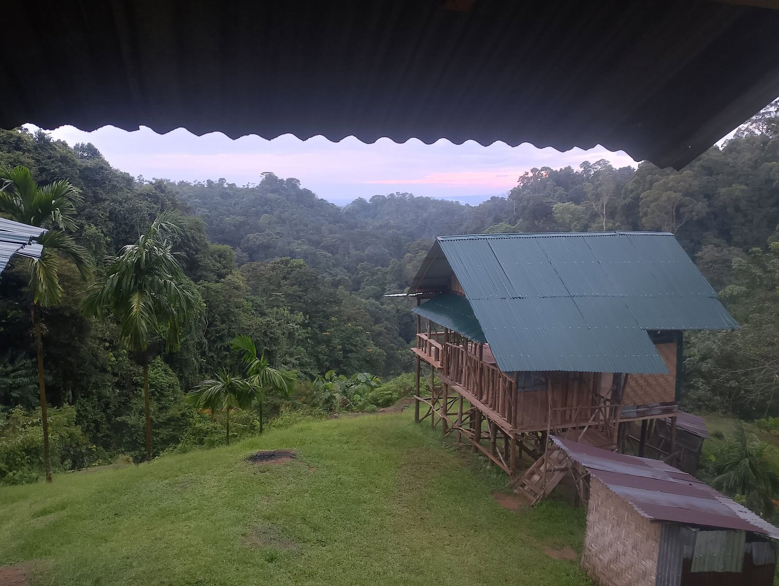 Lovely jungle lodge